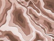  Natural Shapes.  - Tecnografica, .       .    