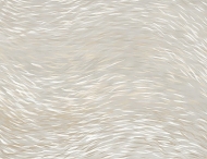  Natural Shapes.  - Tecnografica, .       .    