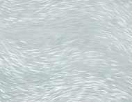  Natural Shapes.  - Tecnografica, .       .    