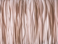  Natural Shapes.  - Tecnografica, .       .    