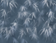  Natural Shapes.  - Tecnografica, .       .    