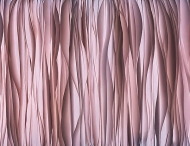  Natural Shapes.  - Tecnografica, .       .    