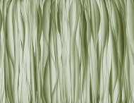  Natural Shapes.  - Tecnografica, .       .    