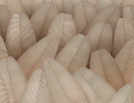  Natural Shapes.  - Tecnografica, .       .    