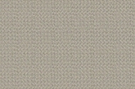  Bonvi.  - Tecnografica, .   .       .
