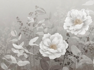 �������� Pemberley. ������������ - Tecnografica, ������. ����������� ���������� ����� �� �������� ����� � �������� ������. �����