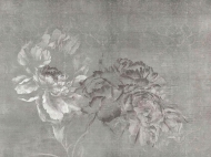 �������� Pemberley. ������������ - Tecnografica, ������. ����������� ���������� ����� �� �������� ����� � �������� ������. �����