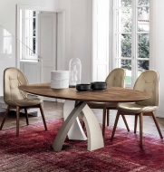 ����� Eliseo, ������������ - Tonin Casa, ������. ������� ���������� �������� ���� � ������� ������ � ������ ��� ����������� ����