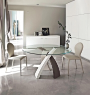 ����� Eliseo, ������������ - Tonin Casa, ������. ������� ���������� �������� ���� � ������� ������ � ������ ��� ����������� ����