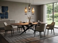 ����� Thunder, ������������ - Tonin Casa, ������. ������� ���������� �������� ���� � ���� �� ������, �������� ��� ��������� ����