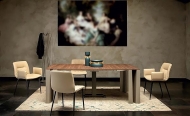  Geometric.  Tonin Casa, .   .    - , , 