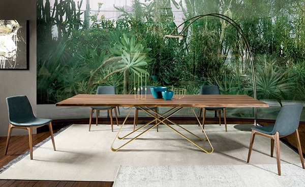   ,  Gruppo Bulbo.  Tonin Casa,  -      - ,