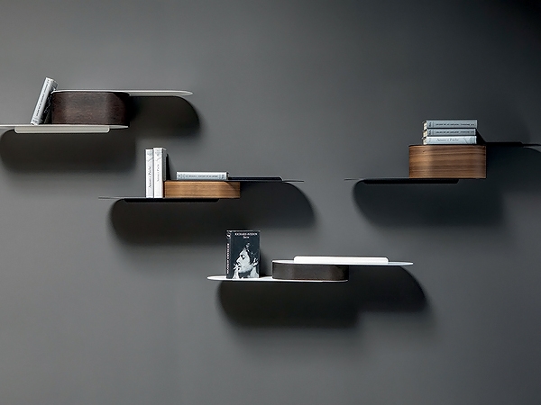  Snowboards.  Tonin Casa, .    .     ,
