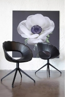  Flower.  Tonon, .    .      - 