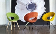  Flower.  Tonon, .    .      - 