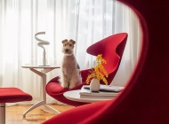  Loft.  Tonon, .         .    