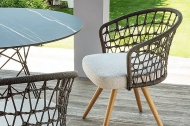  Shells.  Tonon, .     .      , , 