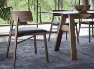 Triangolo.  Tonon, .     .      ,