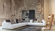  Identity.  Vibieffe, .    .      - 