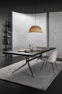  Likes.  Vibieffe, .          .  