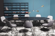  Suspension.  Vibieffe, .    .     - 