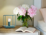  Box,  Zava Luce - .    .     -   
