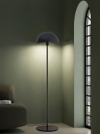  Amedea,  Zava Luce - .   .     -   