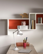  123,  ZG Mobili, .      .    , 